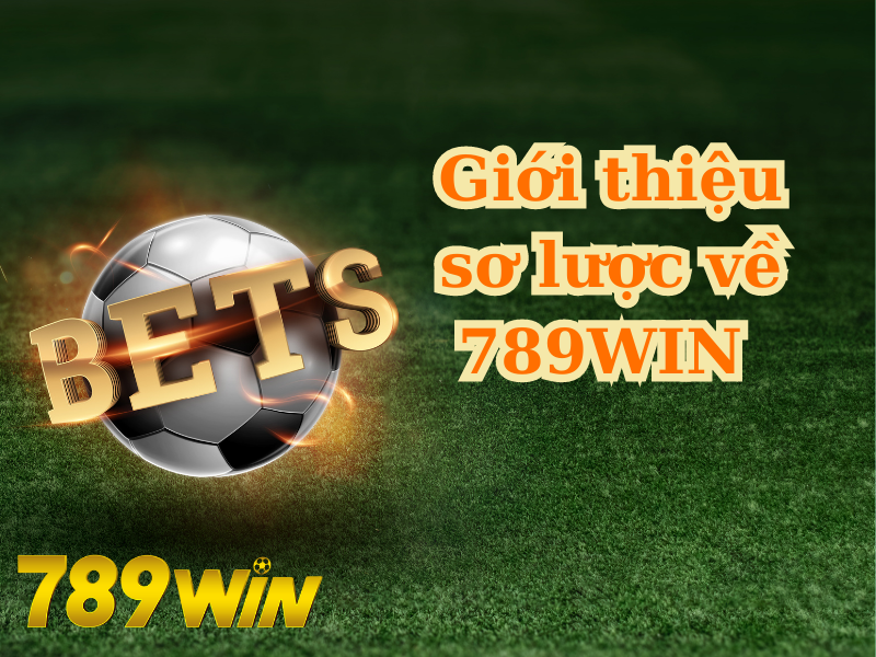 Giới thiệu sơ lược về 789WIN 