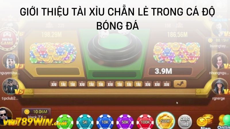 Giới thiệu tài xỉu chẵn lẻ trong cá độ bóng đá