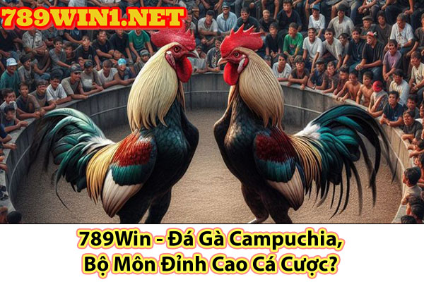 789Win - Đá Gà Campuchia, Bộ Môn Đỉnh Cao Cá Cược?