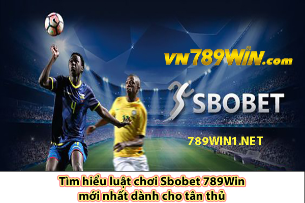 Tìm hiểu luật chơi Sbobet 789Win mới nhất dành cho tân thủ 