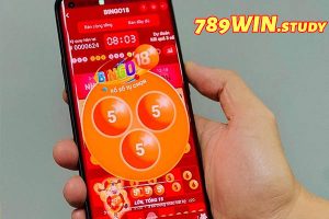 789win - App Chơi Xổ Số Miền Bắc siêu an toàn?